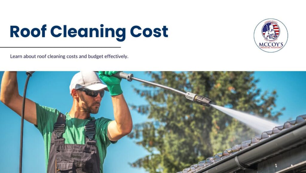 roof cleaning price